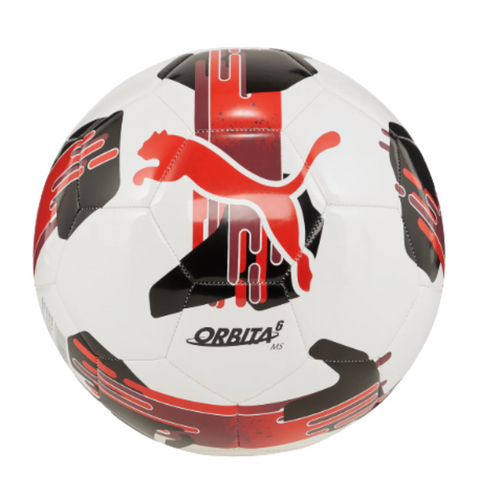 Puma Orbita 6 MS Training Ball Size 3 & 4