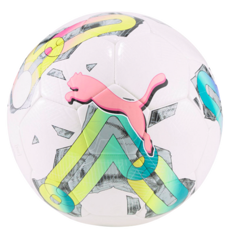 Puma Orbita 6 MS Training Ball Size 3 & 4
