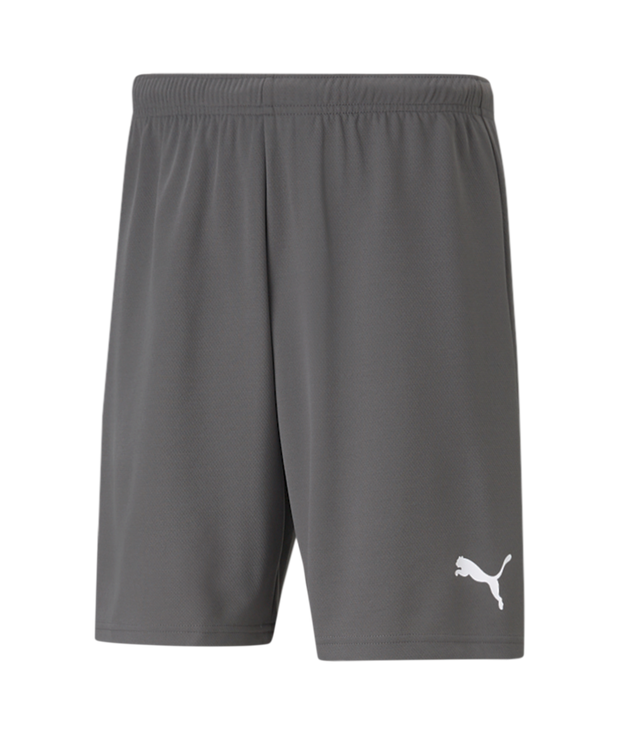 Puma Teamrise Short Adult