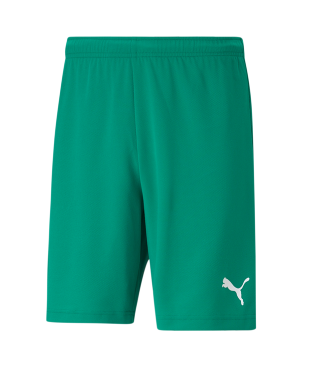 Puma Teamrise Short Adult