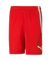 Puma Team Liga Short Adult