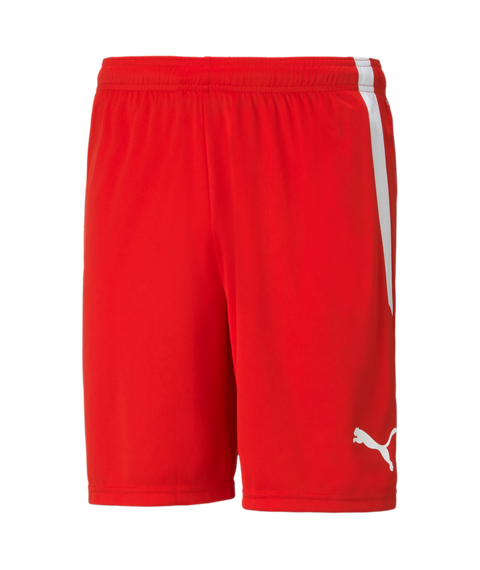 Puma Team Liga Short Adult