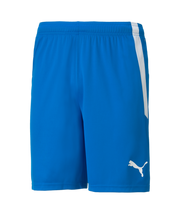 Puma Team Liga Short Adult