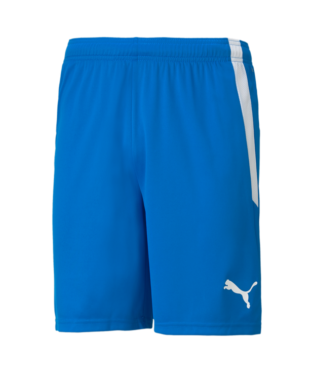 Puma Team Liga Short Adult