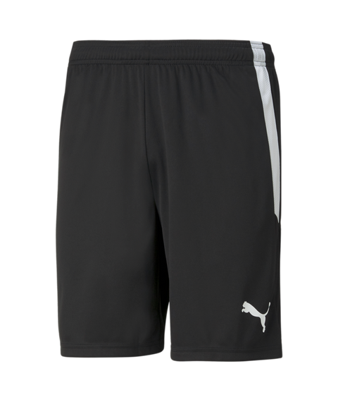 Puma Team Liga Short Adult