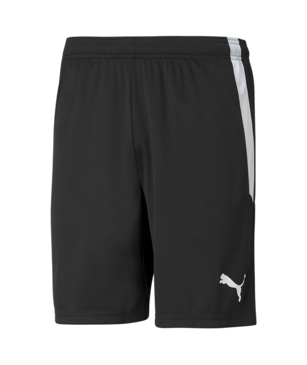 Puma Team Liga Short Adult