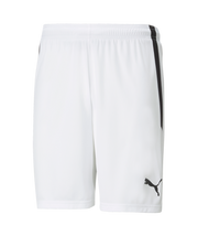 Puma Team Liga Short Adult