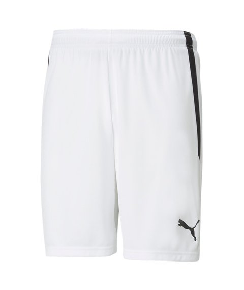 Puma Team Liga Short Adult