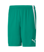 Puma Team Liga Short Adult