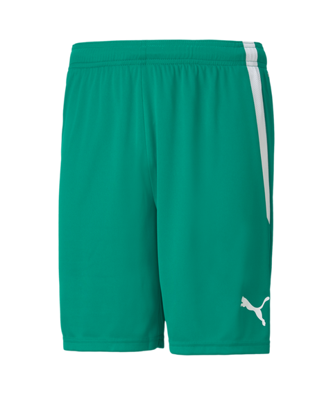 Puma Team Liga Short Adult