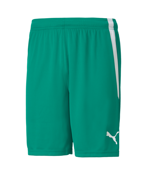 Puma Team Liga Short Adult