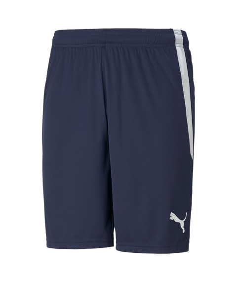 Puma Team Liga Short Adult