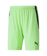 Puma Team Liga Short Adult