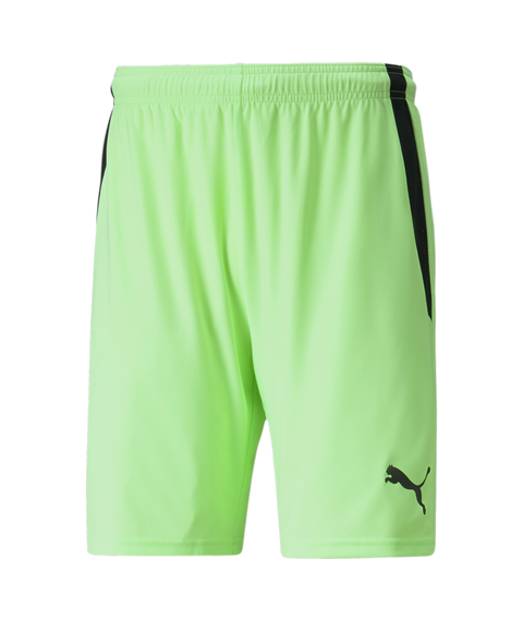 Puma Team Liga Short Adult