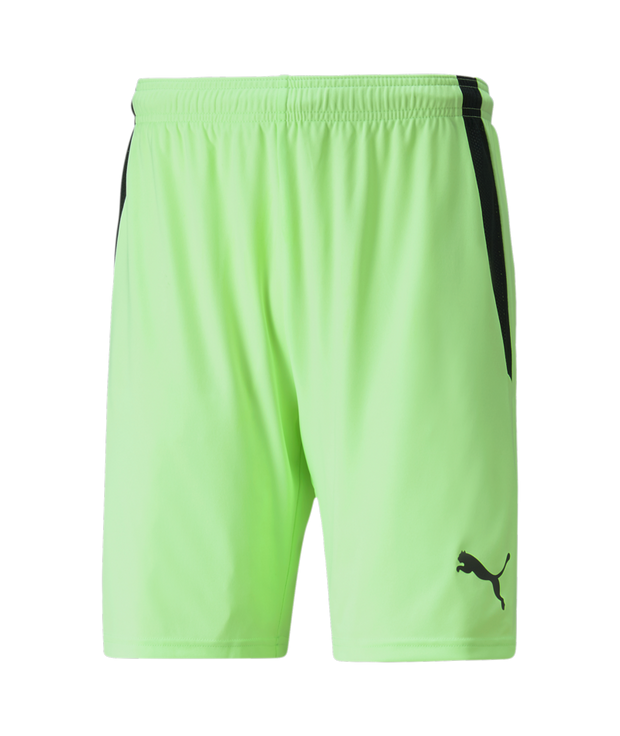 Puma Team Liga Short Adult