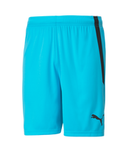 Puma Team Liga Short Adult