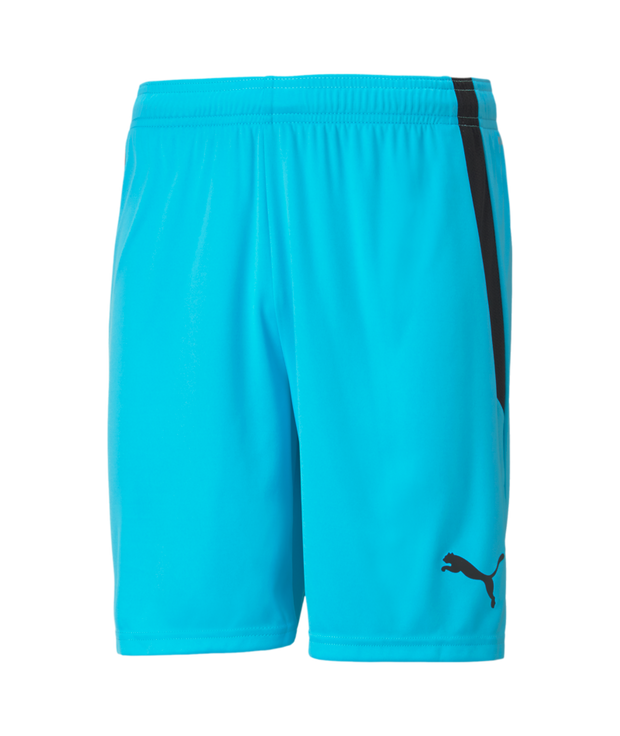 Puma Team Liga Short Adult