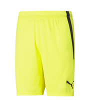 Puma Team Liga Short Adult