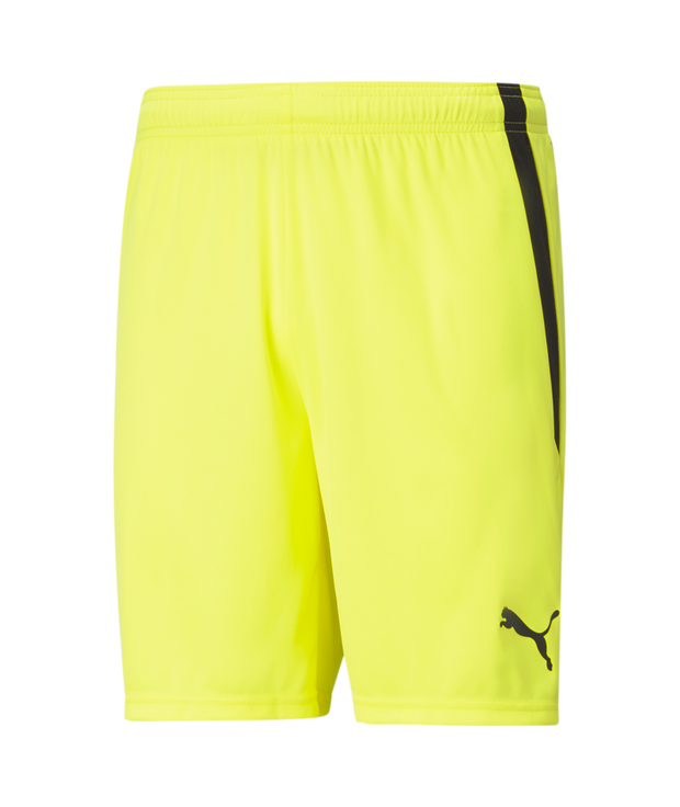 Puma Team Liga Short Adult