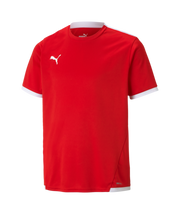 Puma Team Liga Jersey Youth