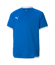 Puma Team Liga Jersey Youth