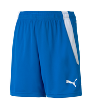 Puma Team Liga Short Youth