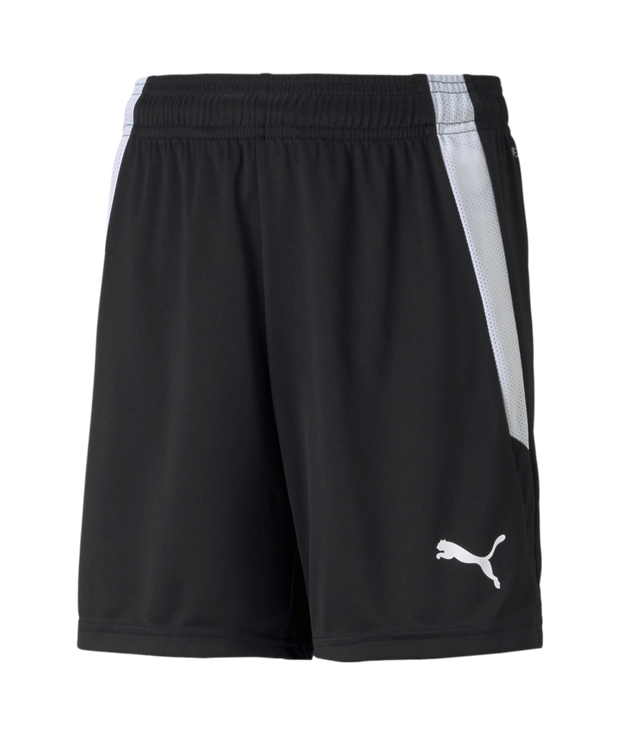 Puma Team Liga Short Youth