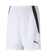 Puma Team Liga Short Youth