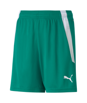 Puma Team Liga Short Youth