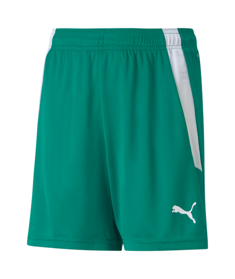 Puma Team Liga Short Youth