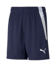 Puma Team Liga Short Youth