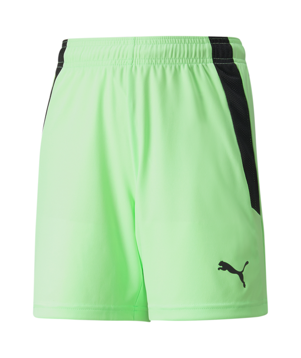 Puma Team Liga Short Youth