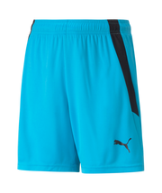 Puma Team Liga Short Youth