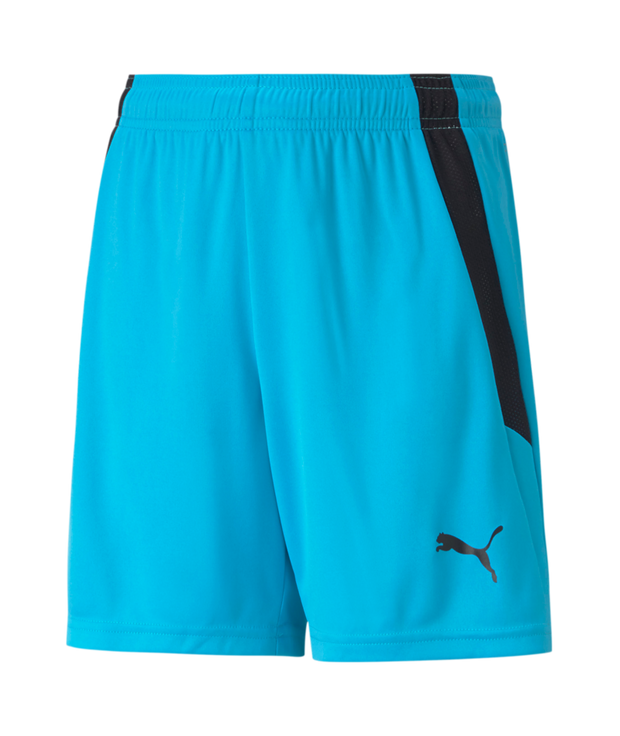 Puma Team Liga Short Youth