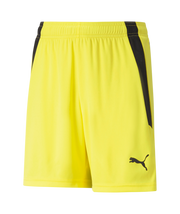 Puma Team Liga Short Youth