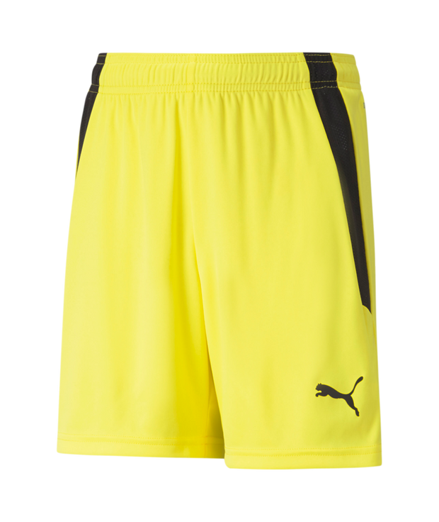 Puma Team Liga Short Youth