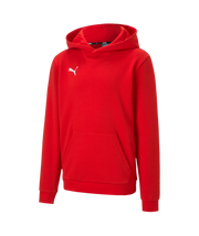 Puma Teamgoal 23 Casual Hoody Youth