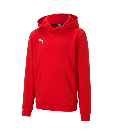 Puma Teamgoal 23 Casual Hoody Youth