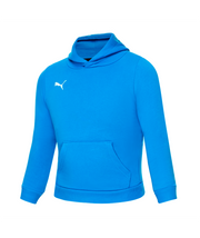 Puma Teamgoal 23 Casual Hoody Youth