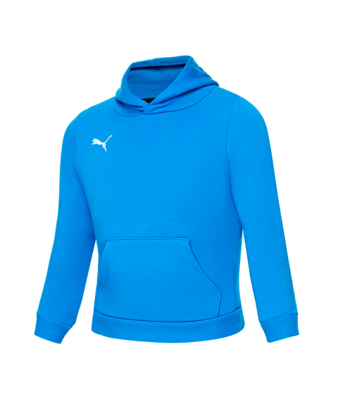 Puma Teamgoal 23 Casual Hoody Youth