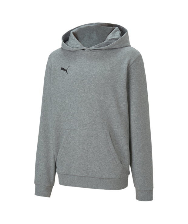 Puma Teamgoal 23 Casual Hoody Youth