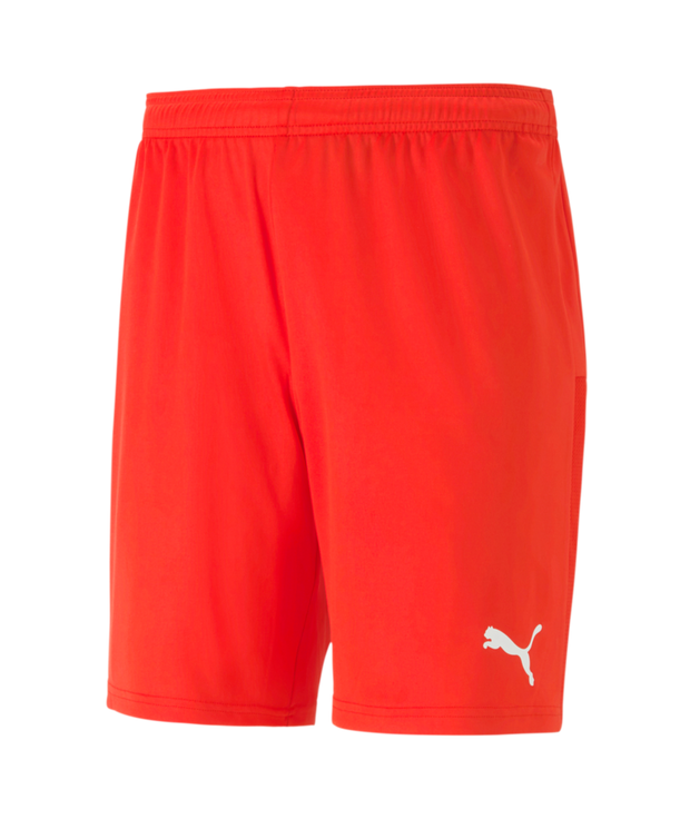 Puma Teamgoal 23 Knit Shorts Men