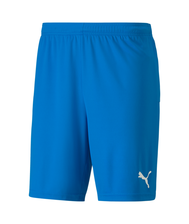 Puma Teamgoal 23 Knit Shorts Men