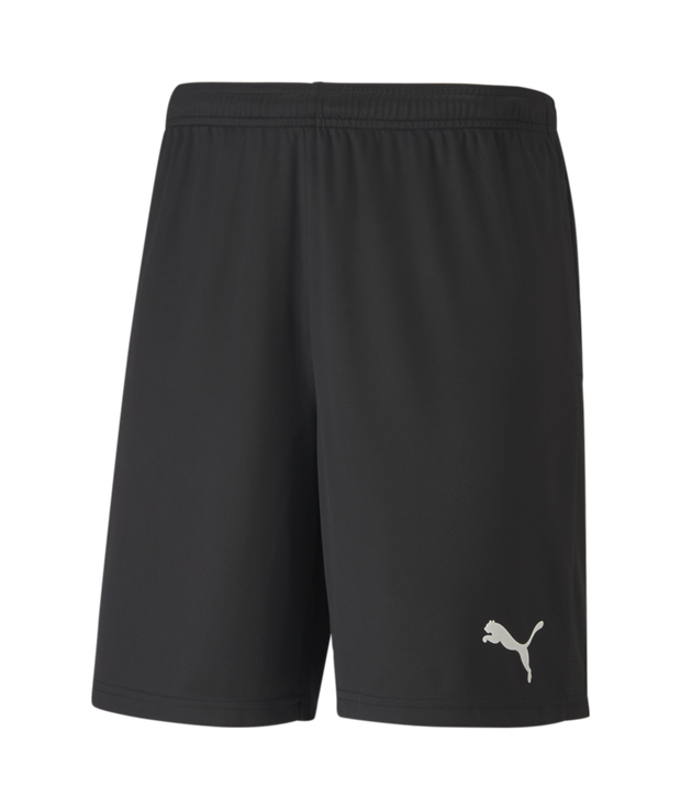 Puma Teamgoal 23 Knit Shorts Men