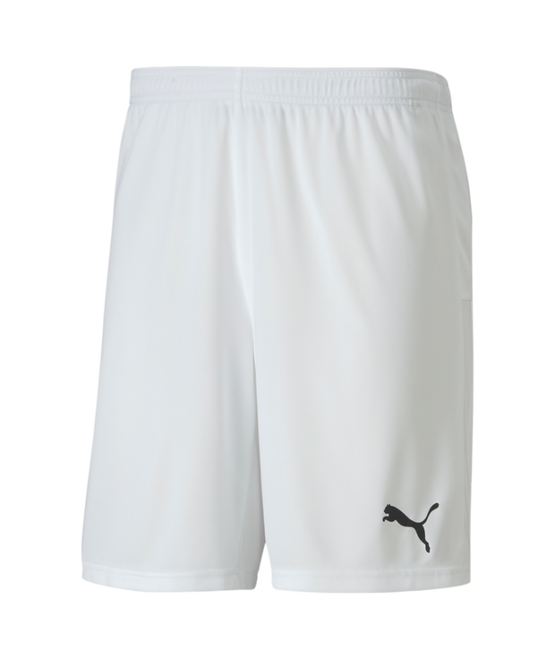 Puma Teamgoal 23 Knit Shorts Men