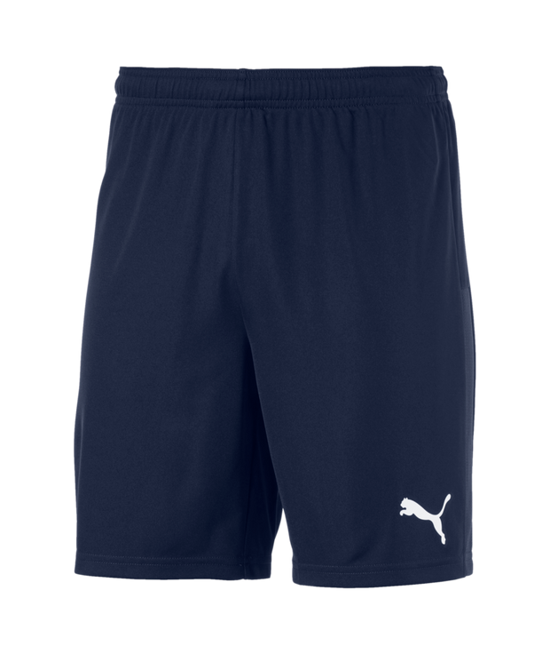 Puma Teamgoal 23 Knit Shorts Men