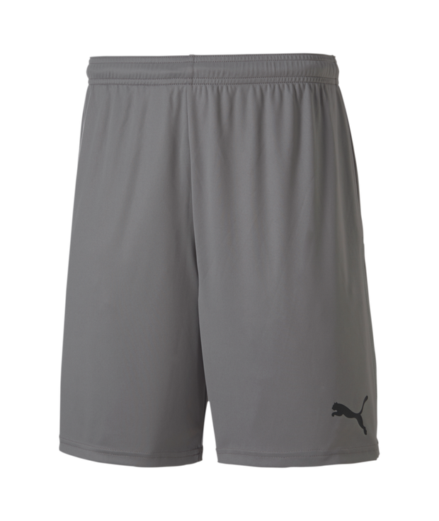 Puma Teamgoal 23 Knit Shorts Men