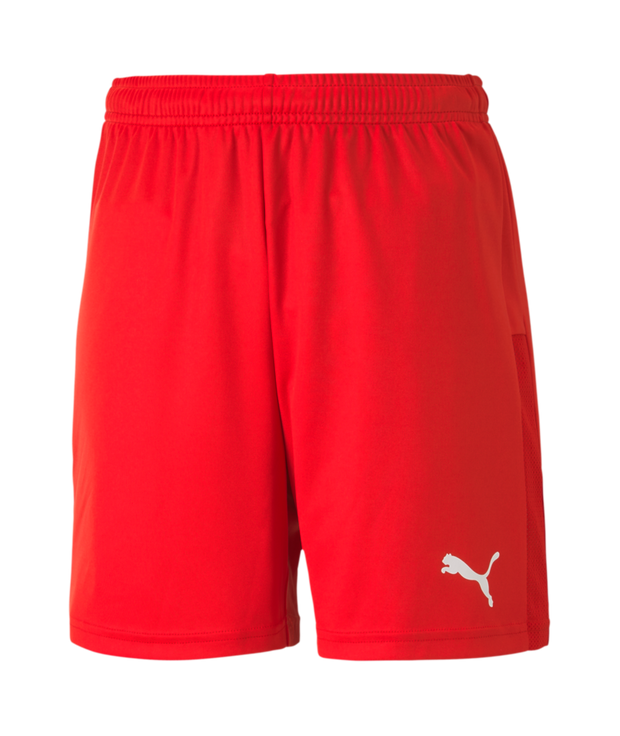 Puma Teamgoal 23 Knit Shorts Youth