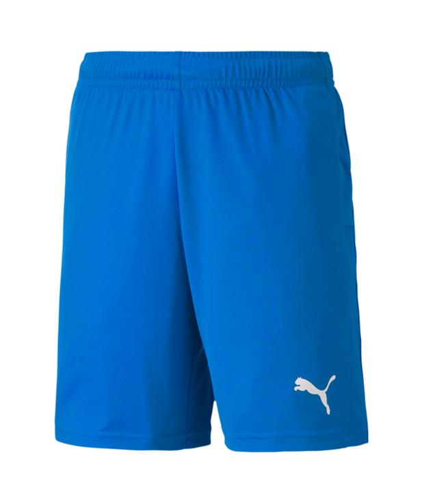 Puma Teamgoal 23 Knit Shorts Youth