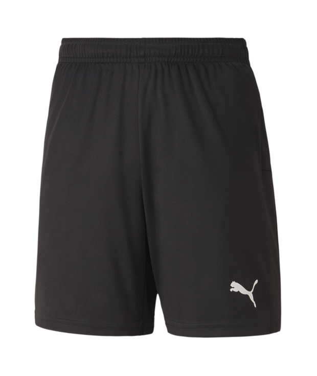 Puma Teamgoal 23 Knit Shorts Youth